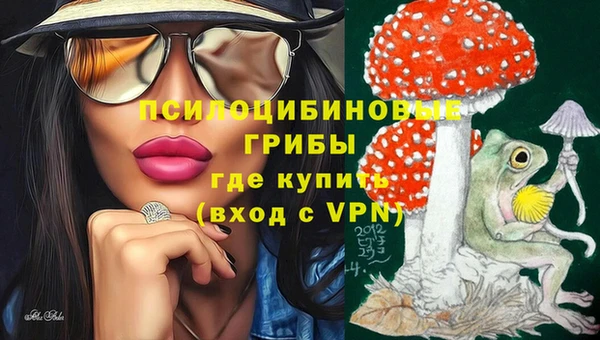 прущие крисы Горняк