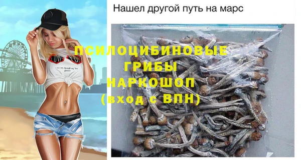 прущие крисы Горняк