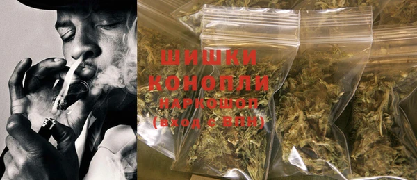 прущие крисы Горняк