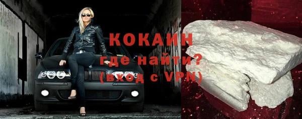 прущие крисы Горняк