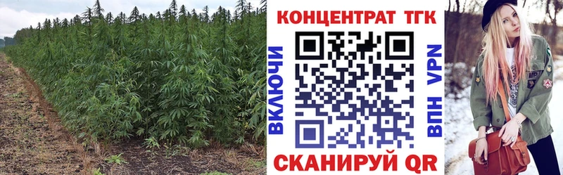 shop какой сайт  Крым  Дистиллят ТГК концентрат 