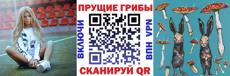 KRAKEN ТОР  Крым  Псилоцибиновые грибы Magic Shrooms 